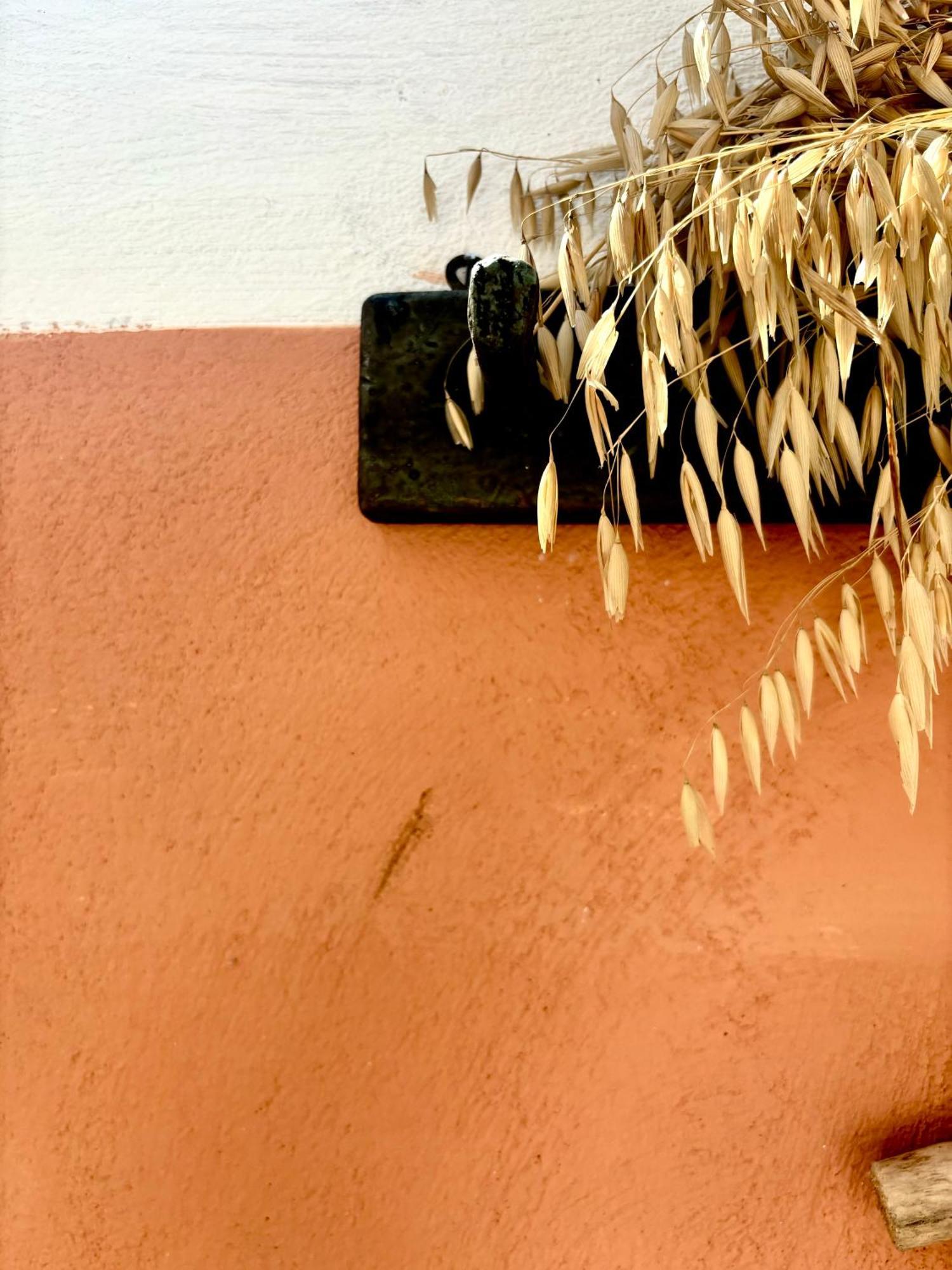 Traditional Corfiot House Perivólion Extérieur photo